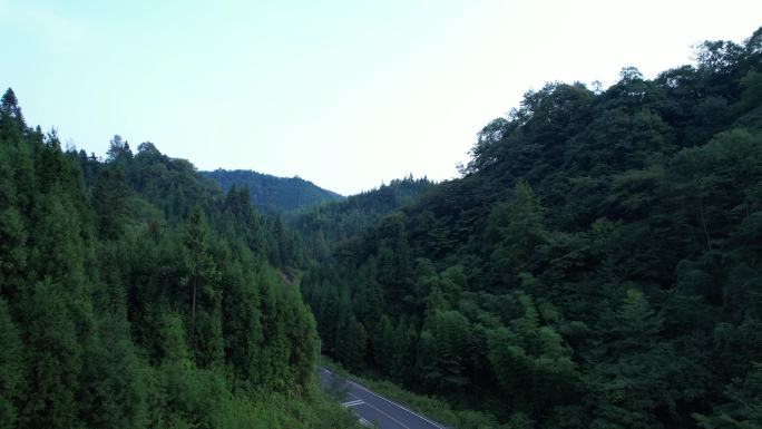 山林公路行车前飞