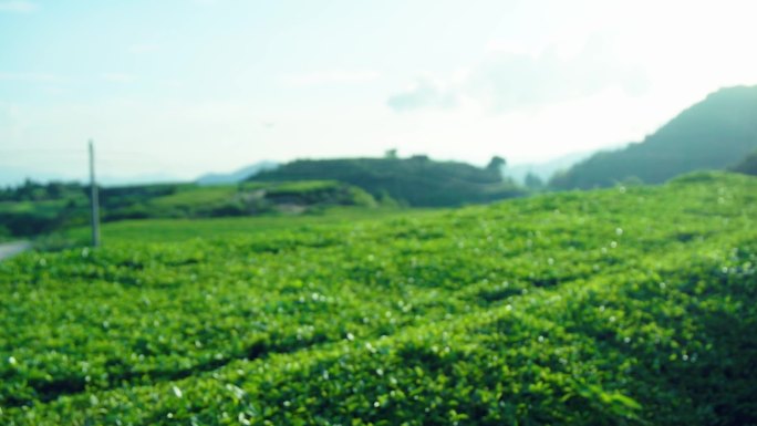 放飞乡村振兴梦想的纸飞机-飞向未来