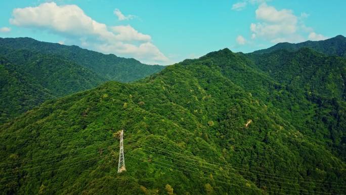 大山里的公路