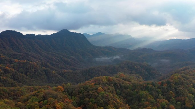 四川省巴中市米仓山国家森林公园航拍