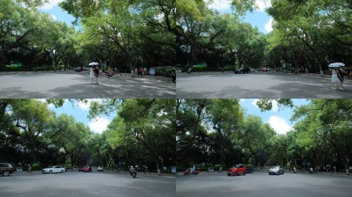 广西桂林城市道路绿树成荫的老城区街道街景