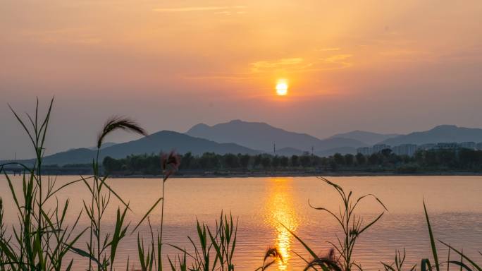 日落西山湖边落日夕阳余晖延时摄影芦苇黄昏