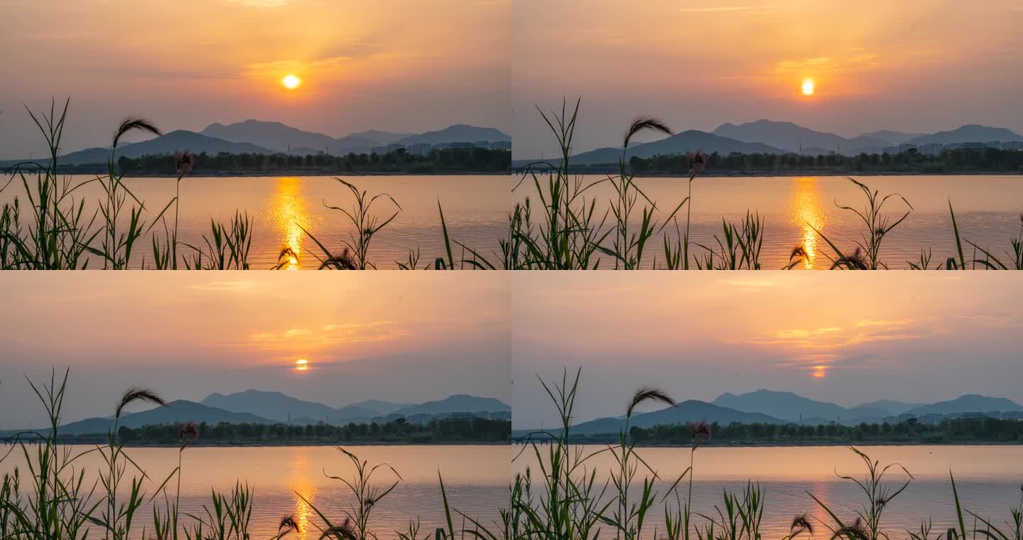 日落西山湖边落日夕阳余晖延时摄影芦苇黄昏