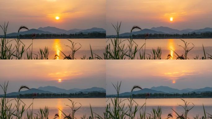 日落西山湖边落日夕阳余晖延时摄影芦苇黄昏