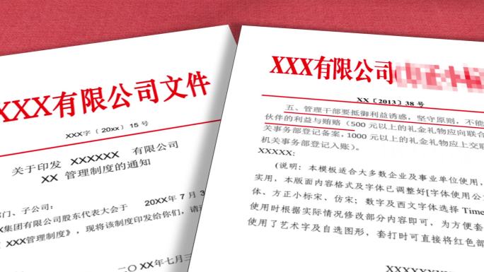 党政红头文件调研报告