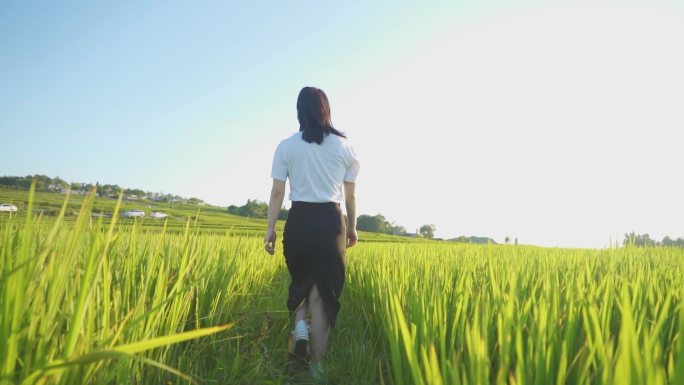 唯美女生田间行走背影清新文艺自由浪漫视频