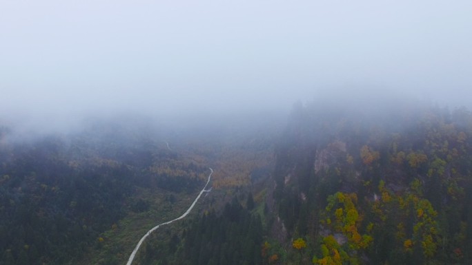 航拍飞入云层