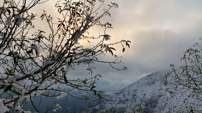 C031 冬天雪景里的金塘镇大洼村