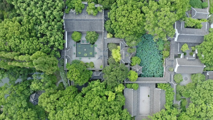 航拍城市生态环境上海醉白池风景区