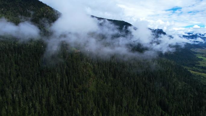 鲁朗小镇 高山峡谷森林穿云川藏线G318