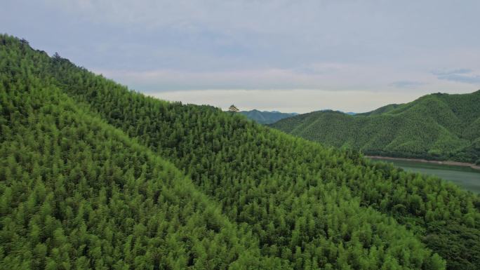 航拍安吉青山绿水