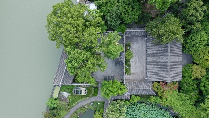 航拍城市生态环境上海醉白池风景区