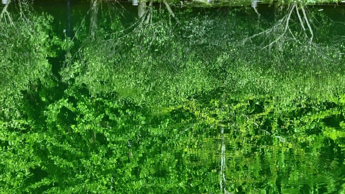 湖中绿水青山倒影