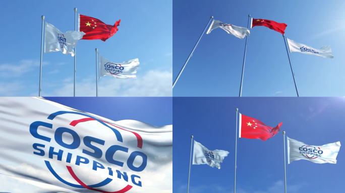 中国远洋海运集团旗帜