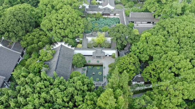 航拍城市生态环境上海醉白池风景区