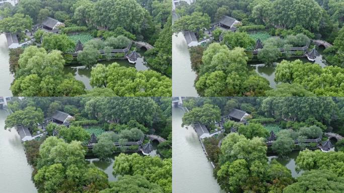 航拍城市生态环境上海醉白池风景区