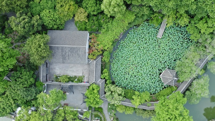 航拍城市生态环境上海醉白池风景区