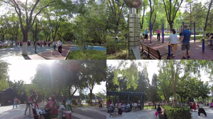 城市街头公园锻炼身体退休生活绿树阳光健身