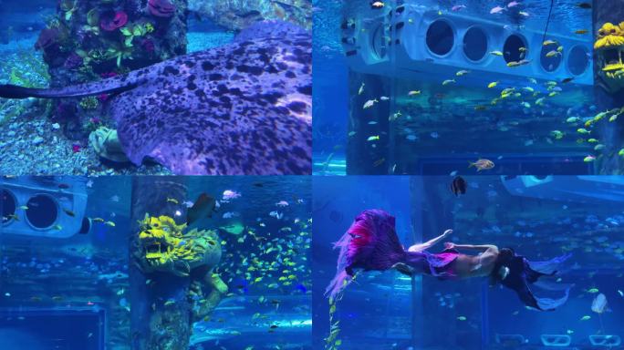 海底世界潜水美人鱼表演合集