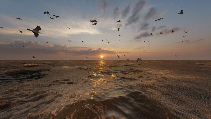 4K海上日出海鸥在海面上飞翔