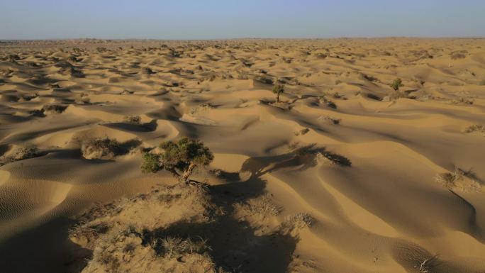 原创 航拍新疆塔克拉玛干沙漠自然风光