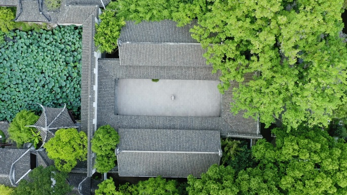 航拍城市生态环境上海醉白池风景区