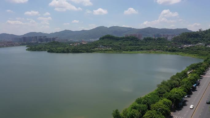 深圳立新湖公园航拍