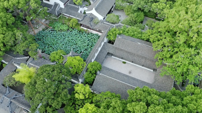 航拍城市生态环境上海醉白池风景区