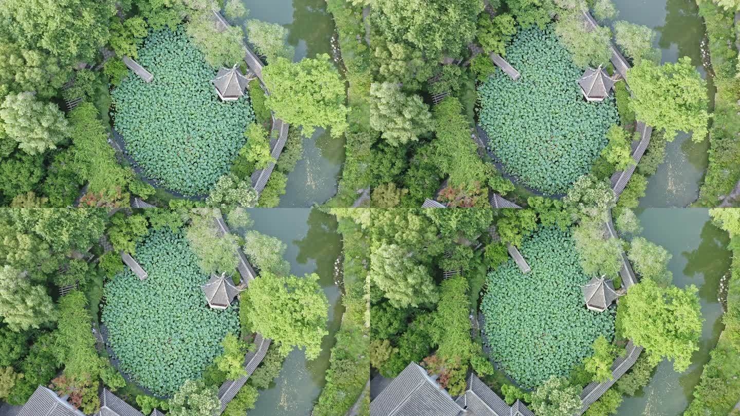 中式园林景观设计上海松江醉白池风景区