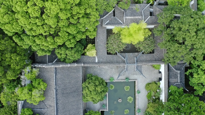 航拍城市生态环境上海醉白池风景区