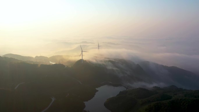 民主镇  茶山 茶场 日出云海