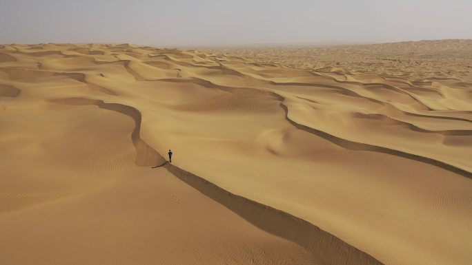 原创 新疆塔克拉玛干沙漠中一个人在行走