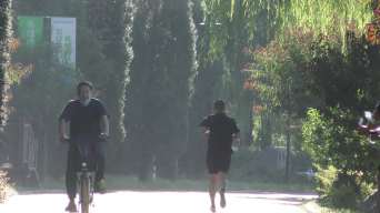 公园早晨阳光树林骑行锻炼身体跑步清晨视频素材