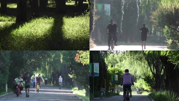 公园早晨阳光树林骑行锻炼身体跑步清晨