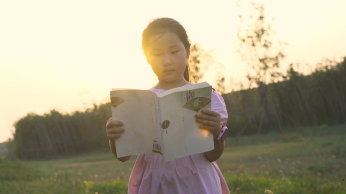 4K小学生再草坪上看书读书