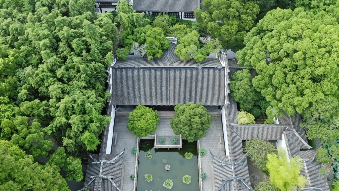 航拍城市生态环境上海醉白池风景区