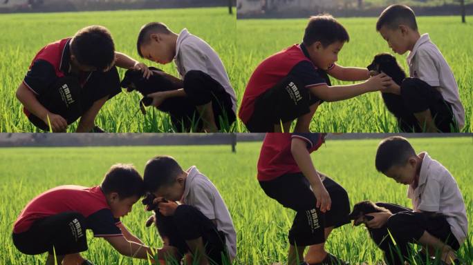农村小孩玩土狗
