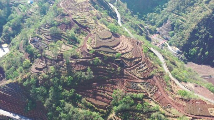 C038 从金塘镇仁和村看高速路隧道