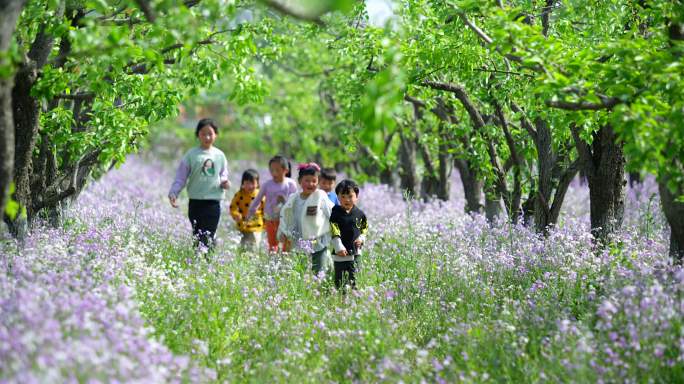 一群小孩在花丛中奔跑