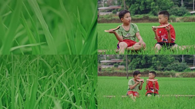 农村小孩田硬上吃西瓜