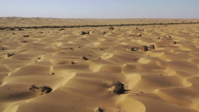 原创 航拍新疆塔克拉玛干沙漠自然风光