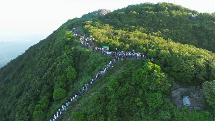 4K正版-深圳大梧桐山登山的游客03