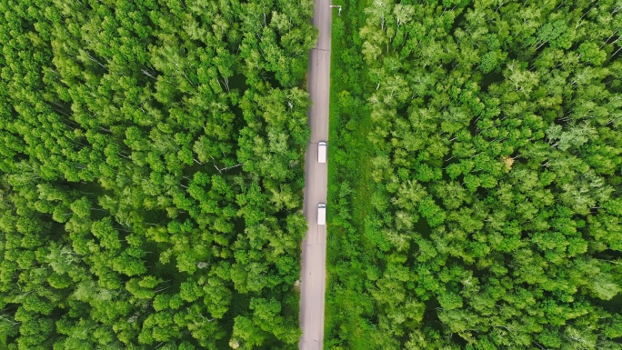 穿越森林的汽车公路旅行