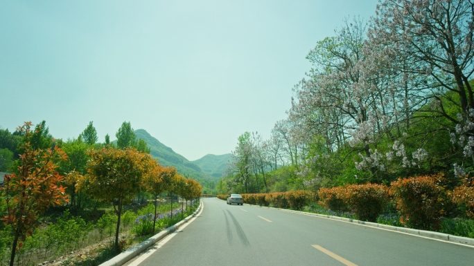 城市环境美丽城市道路