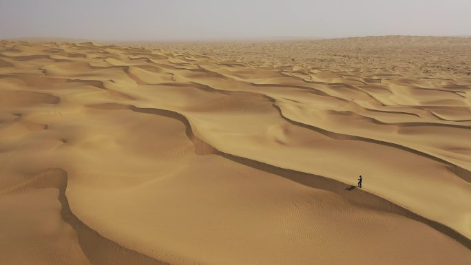 原创 新疆塔克拉玛干沙漠中一个人在行走