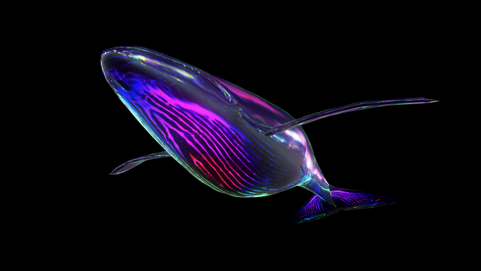 4k 彩色鲸鱼带通道元宇宙