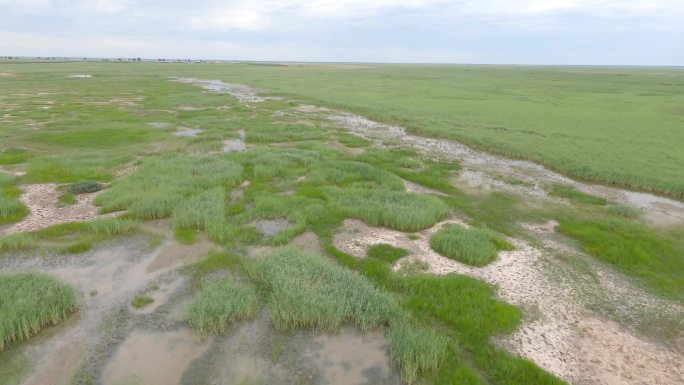 内蒙古草原湿地