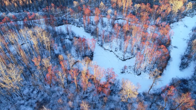 航拍冬季雪原雪河密林