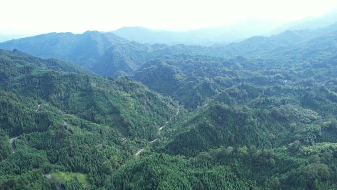 山林盘山公路空镜