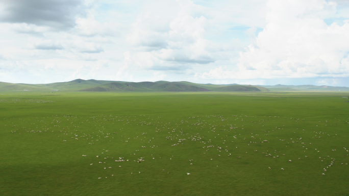 草原 大片羊群 河流曲折美景
